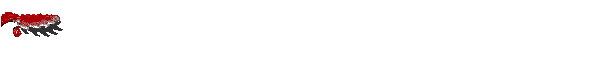 Gif nuevo